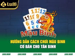 Hướng dẫn cách chơi Mậu Binh cơ bản cho tân binh